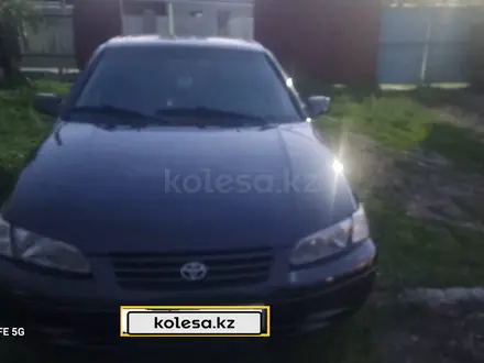 Toyota Camry 1999 года за 3 000 000 тг. в Тараз