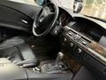BMW 525 2004 года за 5 500 000 тг. в Алматы – фото 22