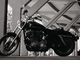Harley-Davidson  Sportster 883 2007 годаүшін3 000 000 тг. в Алматы – фото 2