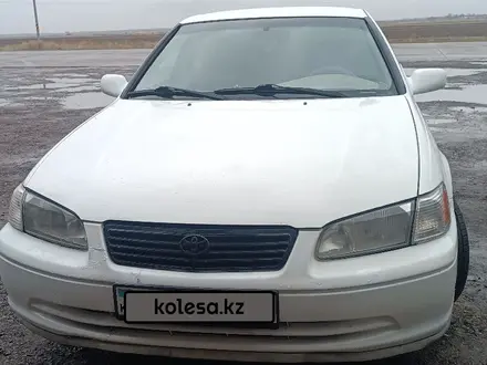 Toyota Camry 2000 года за 3 750 000 тг. в Тараз – фото 3