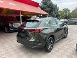 Lexus NX 350h 2022 года за 36 200 000 тг. в Тараз – фото 2