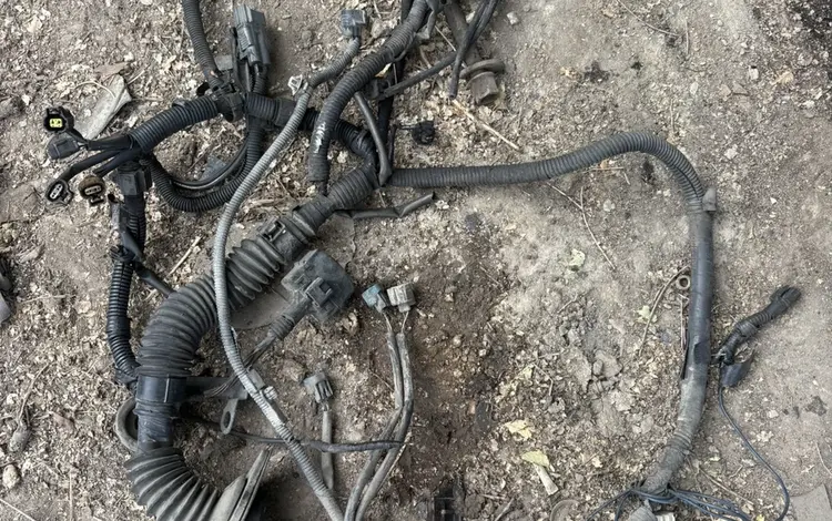 Коса двигателя 1кз правый руль за 75 000 тг. в Алматы