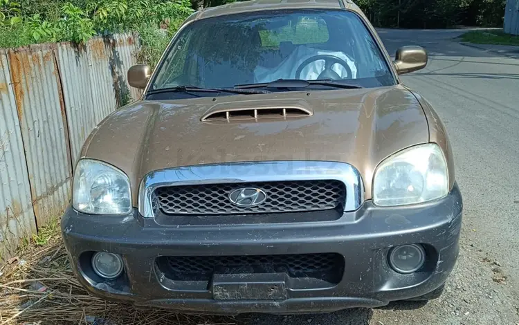 Hyundai Santa Fe 2002 годаүшін1 300 000 тг. в Алматы