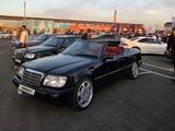 Mercedes-Benz E 320 1994 года за 9 000 000 тг. в Павлодар