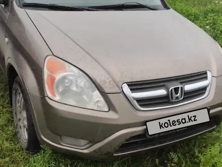 Honda CR-V 2003 года за 4 400 000 тг. в Петропавловск – фото 2