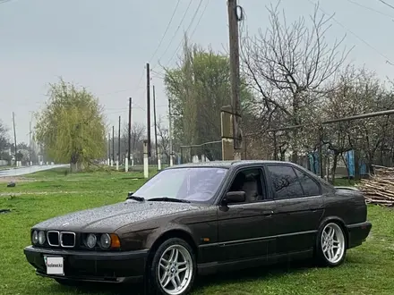 BMW 525 1993 года за 2 300 000 тг. в Алматы – фото 10