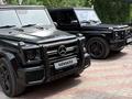 Mercedes-Benz G 500 2002 годаүшін12 900 000 тг. в Алматы – фото 2