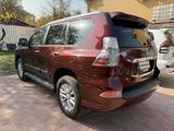 Lexus GX 460 2014 года за 15 900 000 тг. в Алматы – фото 3