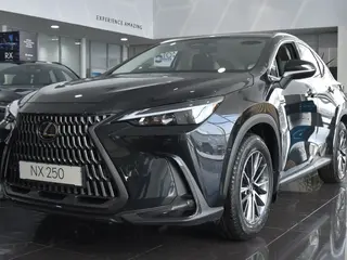 Lexus NX 250 Executive