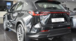 Lexus NX 250 Executive 2025 года за 31 178 800 тг. в Караганда – фото 3