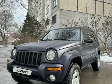 Jeep Liberty 2004 года за 4 600 000 тг. в Алматы – фото 10