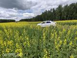 Chevrolet Cobalt 2021 годаүшін4 500 000 тг. в Шымкент