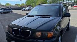 BMW X5 2003 годаүшін5 700 000 тг. в Павлодар – фото 3