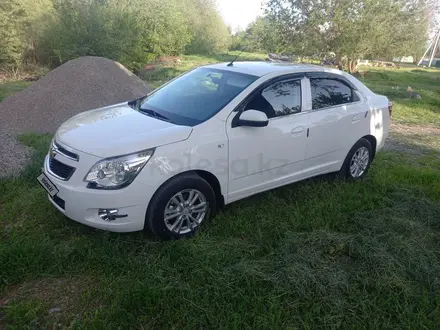 Chevrolet Cobalt 2023 года за 7 200 000 тг. в Шымкент