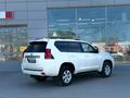Toyota Land Cruiser Prado Comfort+ 2020 года за 21 200 000 тг. в Шымкент – фото 18