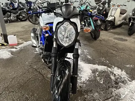 Suzuki  SFV 400 Gladius 2014 года за 2 000 000 тг. в Алматы – фото 2