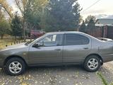 Nissan Primera 1996 годаүшін1 550 000 тг. в Усть-Каменогорск – фото 4