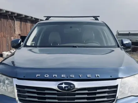 Subaru Forester 2008 года за 5 700 000 тг. в Алматы – фото 5