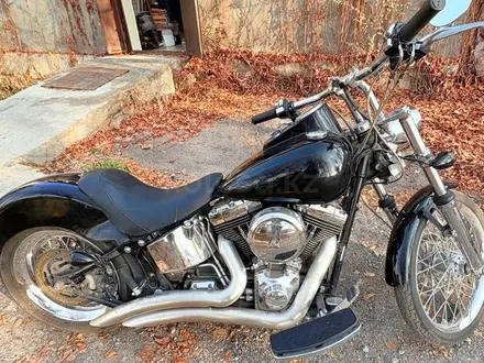 Harley-Davidson  Softail 2006 года за 3 900 000 тг. в Алматы – фото 2