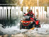 AODES  Pathcross 650L PRO EPS 2026 года за 533 000 тг. в Алматы – фото 2
