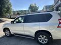 Toyota Land Cruiser Prado 2017 годаүшін16 000 000 тг. в Алматы – фото 3