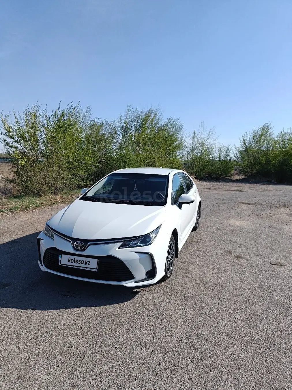 Toyota Corolla, 2019