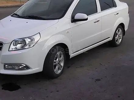 Chevrolet Nexia 2022 года за 4 800 000 тг. в Шымкент – фото 33