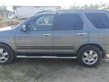 Honda CR-V 2004 года за 4 650 000 тг. в Алматы