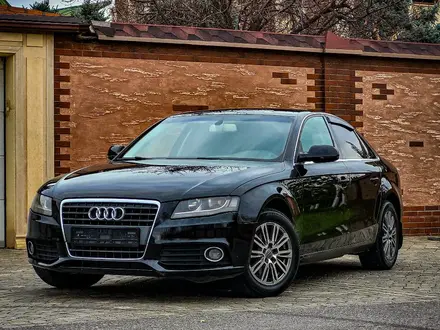 Audi A4 2010 года за 6 500 000 тг. в Шымкент – фото 2