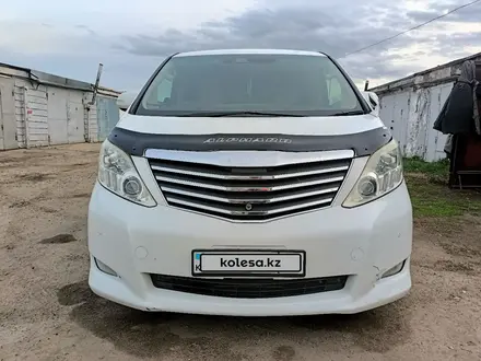 Toyota Alphard 2008 года за 10 800 000 тг. в Усть-Каменогорск