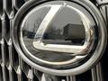 Lexus NX 250 2022 года за 43 500 000 тг. в Уральск – фото 6