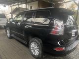 Lexus GX 460 2015 года за 22 500 000 тг. в Алматы – фото 3