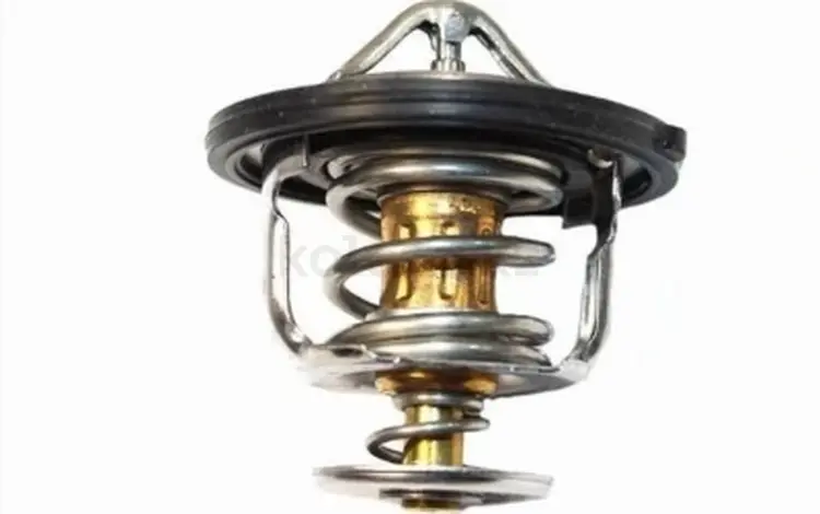 Термостат за 3 700 тг. в Алматы