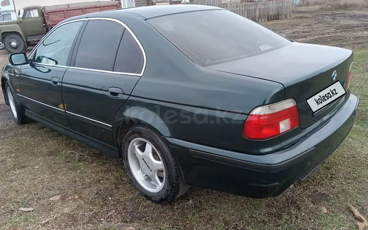 BMW 528 1996 годаүшін2 800 000 тг. в Макинск