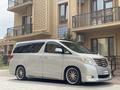 Toyota Alphard 2010 года за 7 200 000 тг. в Шымкент – фото 3