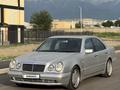 Mercedes-Benz E 55 AMG 1998 года за 8 800 000 тг. в Алматы – фото 5