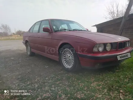 BMW 525 1991 года за 1 300 000 тг. в Кордай