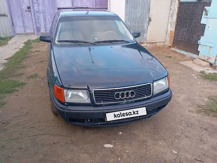 Audi 100 1991 года за 1 500 000 тг. в Павлодар
