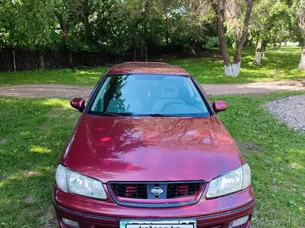 Nissan Almera 2001 года за 2 200 000 тг. в Алматы – фото 10