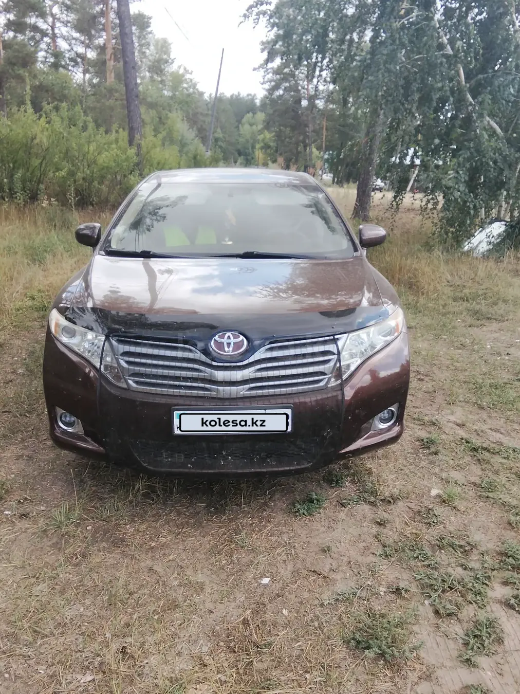 Toyota Venza, 2009