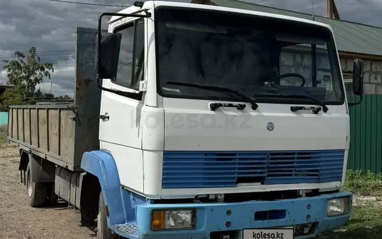 Mercedes-Benz  814 1992 года за 7 000 000 тг. в Павлодар