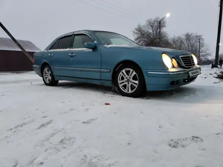 Mercedes-Benz E 240 1999 года за 2 800 000 тг. в Балхаш – фото 6