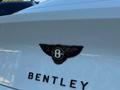 Bentley Continental GT 2019 годаүшін105 000 000 тг. в Алматы – фото 10