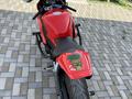Honda  CBR 1000 RR/RA Fireblade 2008 года за 3 500 000 тг. в Алматы – фото 6