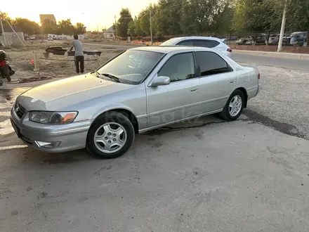 Toyota Camry 2001 года за 3 250 000 тг. в Шымкент – фото 2