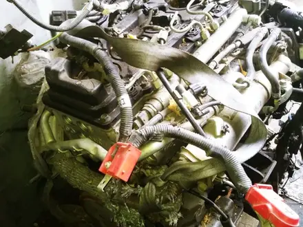Двигатель ZD30 3.0 головка блока за 260 000 тг. в Алматы – фото 10