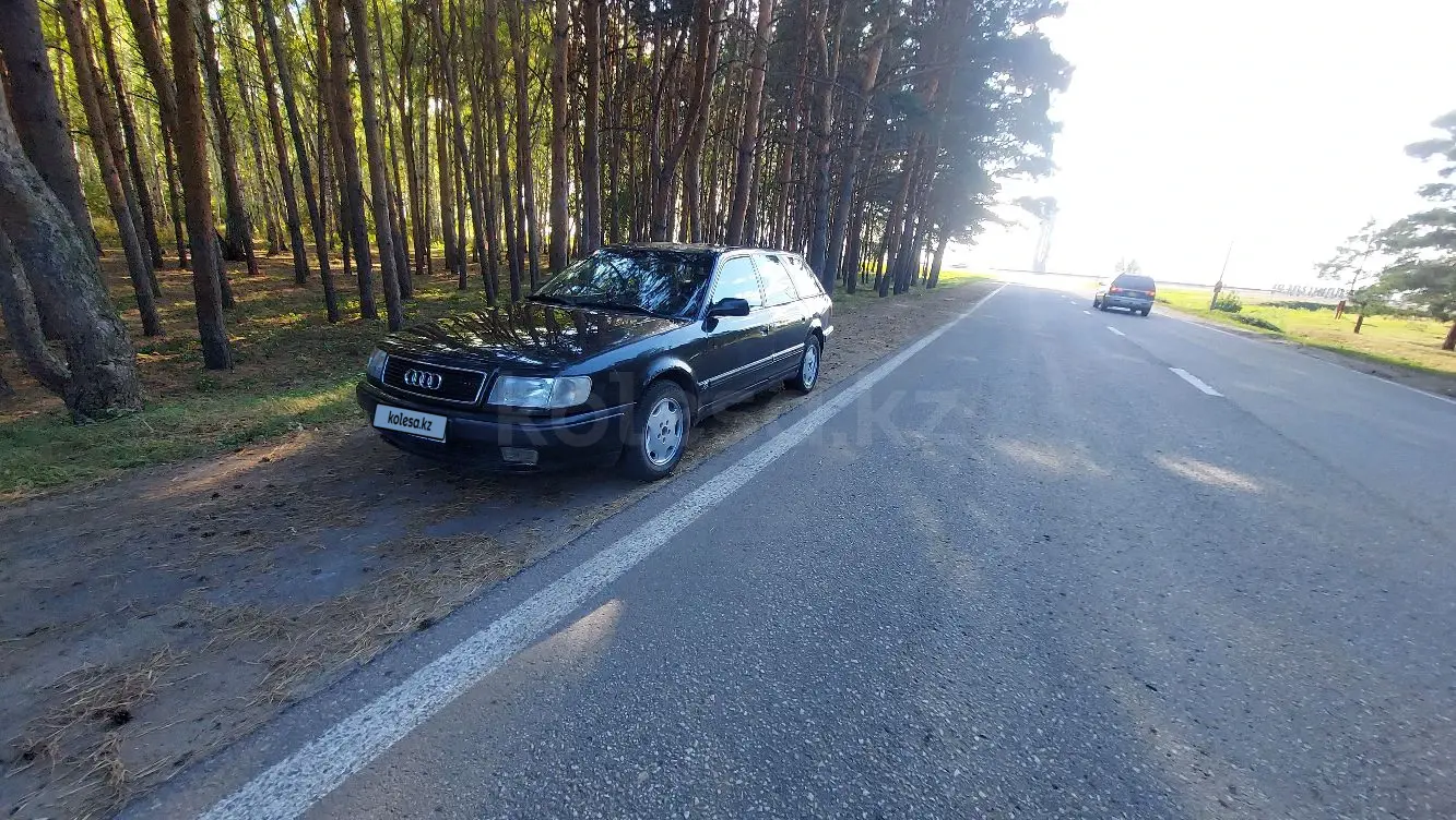 Audi 100, 1992
