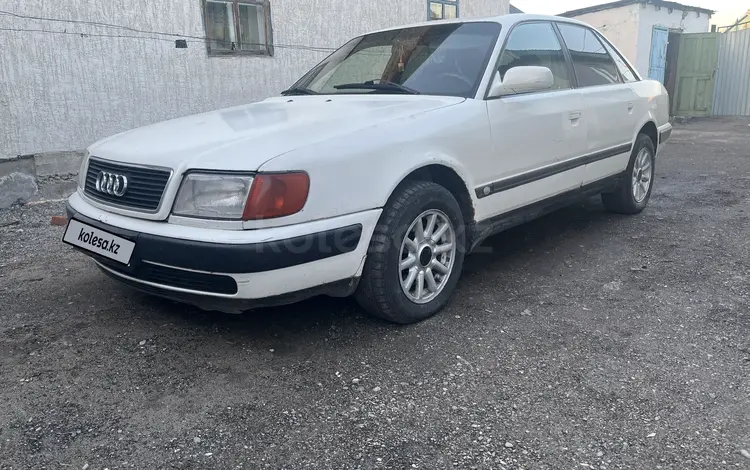 Audi 100 1993 годаүшін1 780 000 тг. в Талдыкорган