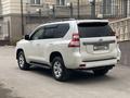 Toyota Land Cruiser Prado 2014 года за 21 000 000 тг. в Караганда – фото 18