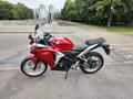 Honda  CBR 250R 2012 годаfor1 700 000 тг. в Алматы – фото 3